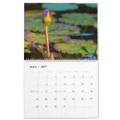 Water Lilies  Kalender (Mär 2027)