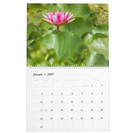 Water Lilies  Kalender (Jan 2027)