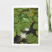 Water Lilies Karte (Vorderseite)