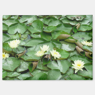 Water Lilies Magnet