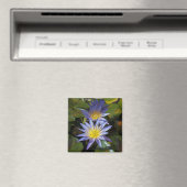 Water Lilies Magnet (In Situ (Geschirrspüler))