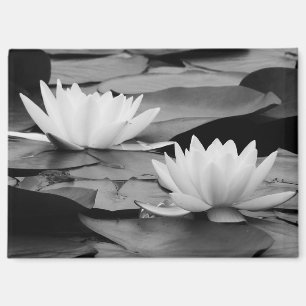 Water Lilies Magnet