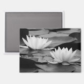 Water Lilies Magnet (Vorderseite/Rückseite)