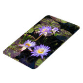 Water Lilies Magnet (Linke Seite)