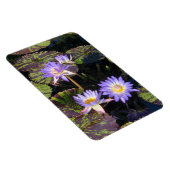 Water Lilies Magnet (Rechte Seite)