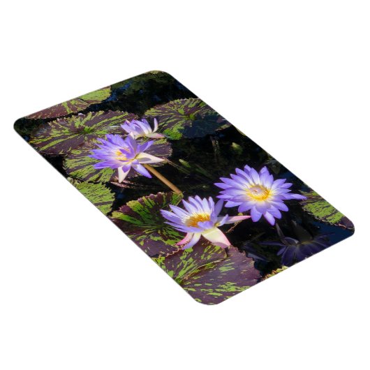 Water Lilies Magnet (Rechte Seite)