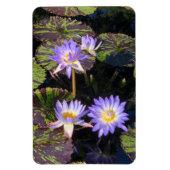Water Lilies Magnet (Vertikal)