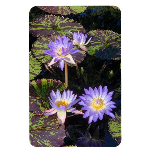Water Lilies Magnet (Vertikal)
