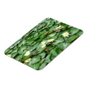 Water Lilies Magnet (Linke Seite)