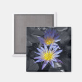 Water Lilies Magnet (Vorderseite/Rückseite)