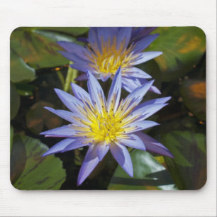 Water Lilies Mousepad