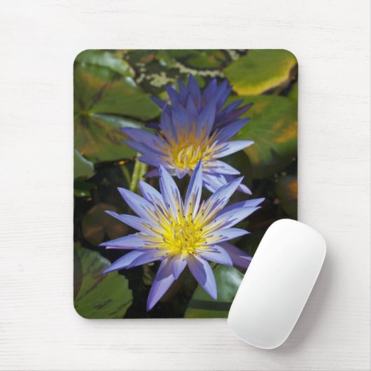 Water Lilies Mousepad (Mit Mouse)