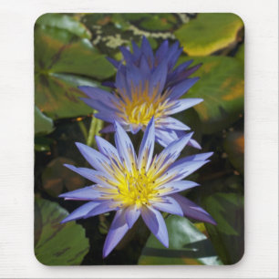 Water Lilies Mousepad