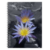 Water Lilies Notebook Notizblock (Vorderseite)