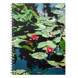 Water Lilies Notizblock