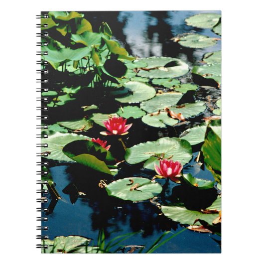 Water Lilies Notizblock (Vorderseite)