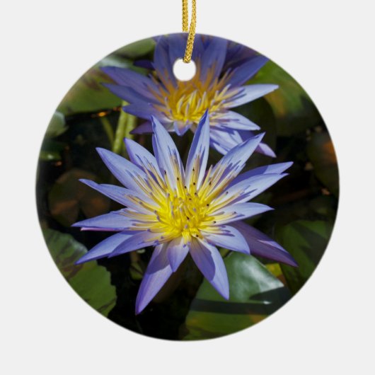 Water Lilies Ornament (Vorne)