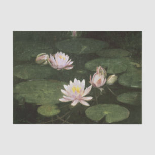 Water Lilies (Pink) von Abbott Thayer Seidenpapier