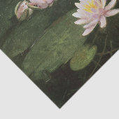 Water Lilies (Pink) von Abbott Thayer Seidenpapier (Ausschnitt)