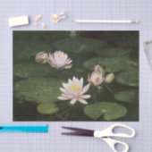 Water Lilies (Pink) von Abbott Thayer Seidenpapier (Handwerk)