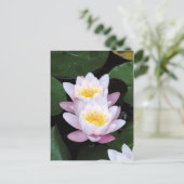 Water Lilies Postcard Postkarte (Stehend Vorderseite)