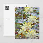 Water Lilies [Postcard] Postkarte (Vorne/Hinten)