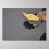 Water Lilies Poster (Vorne)