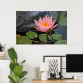 Water Lilies Poster (Heimbüro)