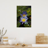 Water Lilies Poster (Küche)
