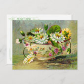 Water Lilies Postkarte (Vorne/Hinten)