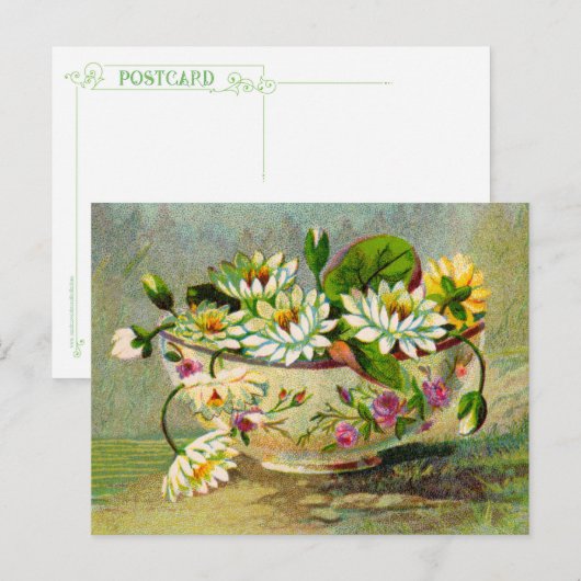 Water Lilies Postkarte (Vorne/Hinten)
