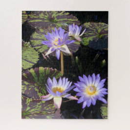 Water Lilies Puzzle