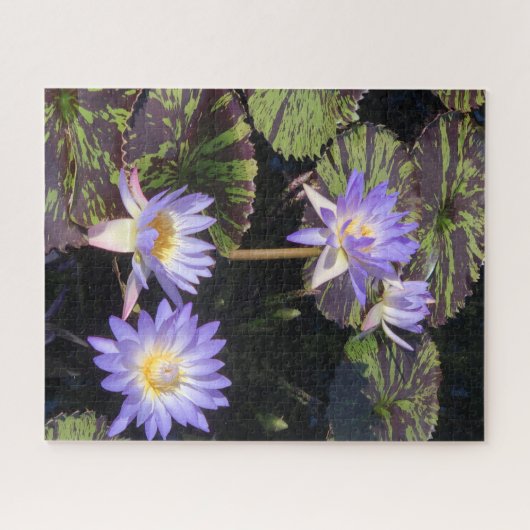 Water Lilies Puzzle (Horizontal)