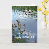 Water Lilies Sympathy Card - Walisische Gruß Karte (Gelbe Blume)