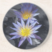 Water Lilies Untersetzer (Vorne)