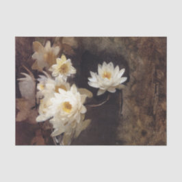 Water Lilies (von Abbott Henderson Thayer) Seidenpapier