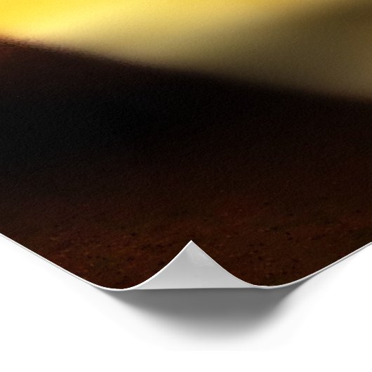 Water Lillium Print Poster (Ecke)