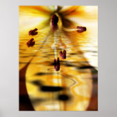 Water Lillium Print Poster (Vorne)