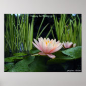 Water lilly after rain  poster (Vorne)