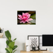 Water Lilly Canvas Print Poster (Heimbüro)