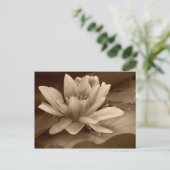 Water Lilly Card Postkarte (Stehend Vorderseite)