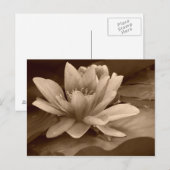 Water Lilly Card Postkarte (Vorne/Hinten)