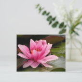 Water Lilly Card Postkarte (Stehend Vorderseite)