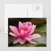 Water Lilly Card Postkarte (Vorne/Hinten)