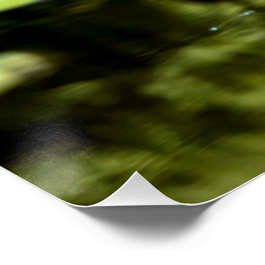 Water Lilly im botanischen Garten Poster (Ecke)