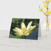 Water Lilly Lotus Karte (Gelbe Blume)