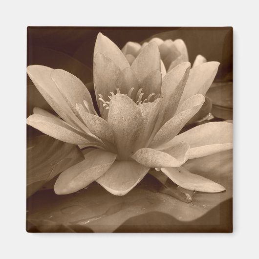 Water Lilly Magnet (Vorne)