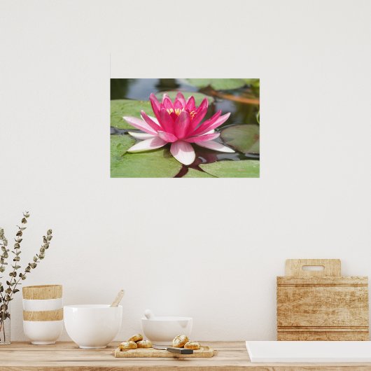 Water Lilly Poster (Küche)