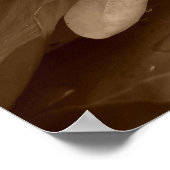 Water Lilly Poster (Ecke)