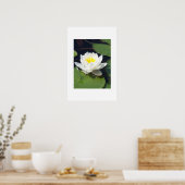 Water Lilly Poster (Küche)